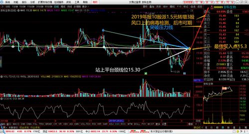 中国人寿（601628）：股价成功突破年线压力位-后市看多（涨）（10-23）