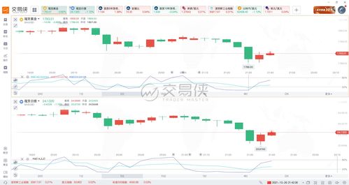 10月24日 10:32分  金海通（603061）股价快速拉升