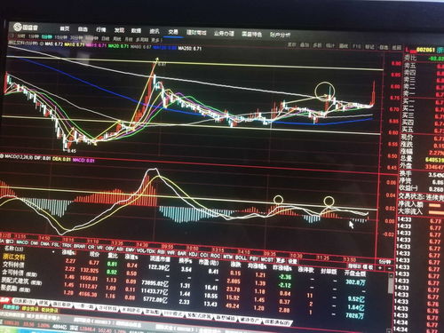 浙江仙通（603239）：股价5分钟涨速大于5%（10-26）