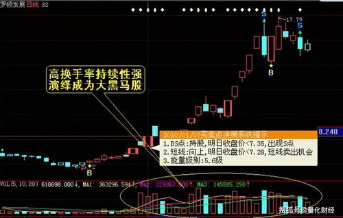 嘉环科技（603206）：该股换手率大于8%（10-26）