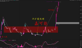弘讯科技（603015）：10月27日技术指标出现看涨信号-“红三兵”