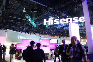 HISENSE VISUAL TECHNOLOGY CO LTD(600060):Q3 REVENUE SUSTAINS ROBUST PROFIT RESILIENCE STANDS OUT HISENSE VISUAL TECHNOLOGY CO LTD(600060):Q3 REVENUE SUSTAINS ROBUST PROFIT RESILIENCE STANDS OUT