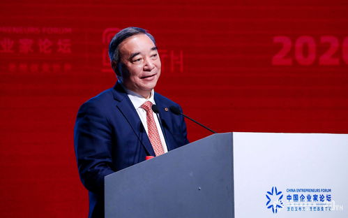 中国上市公司协会会长宋志平：资本市场日益成为我国产业转型升级“助推器”