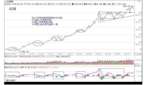 长江投资（600119）：股价5分钟涨速大于5%（11-01）