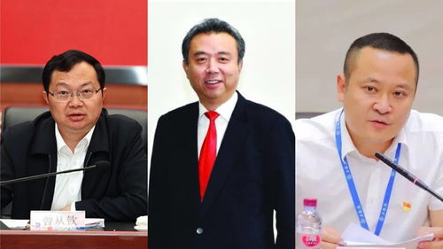 东风集团人事变动 杨青接任董事长