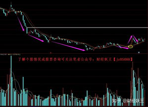11月3日 10:10分  金海通（603061）股价快速拉升