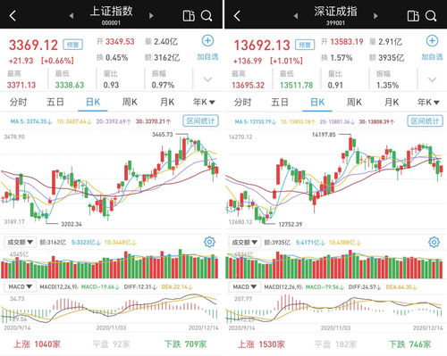 温氏股份：肉鸡盈利逆势增长，资产负债率降至60%！下调猪价，减亏收窄，稳健经营应对低迷行情！