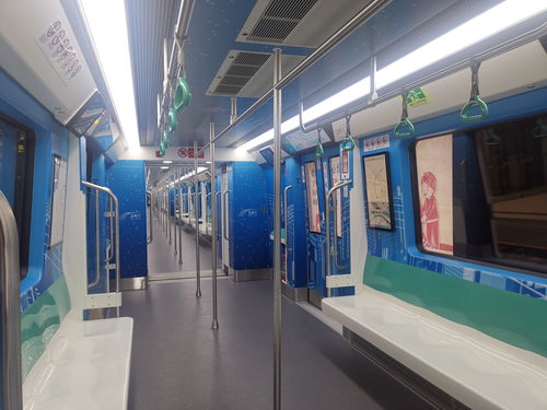 增大运力应对暴雪 哈尔滨地铁将全天执行高峰期行车间隔