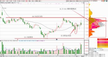 11月6日 10:10分  天齐锂业（002466）股价快速拉升