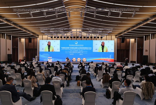 凌激出席第六届虹桥国际经济论坛“发展绿色投资贸易 共建全球生态文明”分论坛