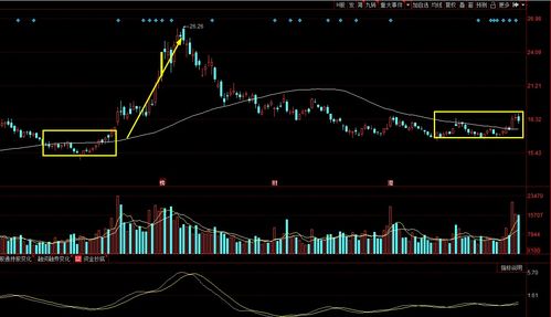 贝肯能源（002828）：该股换手率大于8%（11-06）