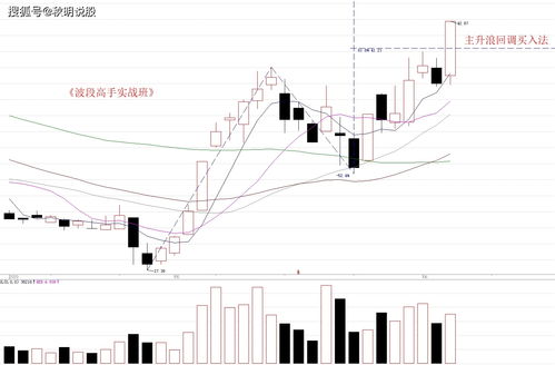 威尔高（301251）：该股换手率大于8%（11-06）