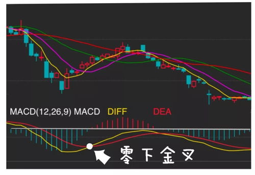 帝尔激光（300776）：MACD指标DIF线上穿0轴-技术指标上后市看多（11-09）