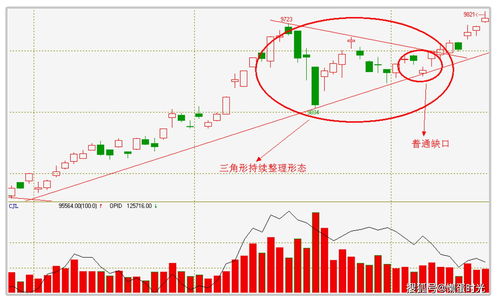 国新健康 （000503）：11月10日该股突破长期盘整