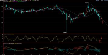 强瑞技术（301128）：11月10日技术指标出现观望信号-“黑三兵”