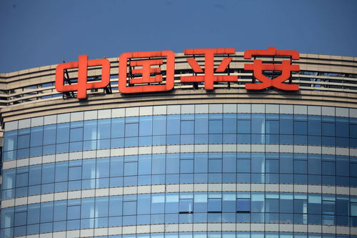 盈汇企业控股(02195)下跌5.56%，报0.255元/股