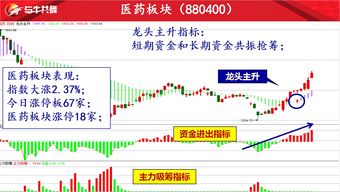 三只新股申购，一只细分龙头，一只Wi-Fi领域参与者，还有户外休闲用品企业，值得关注！