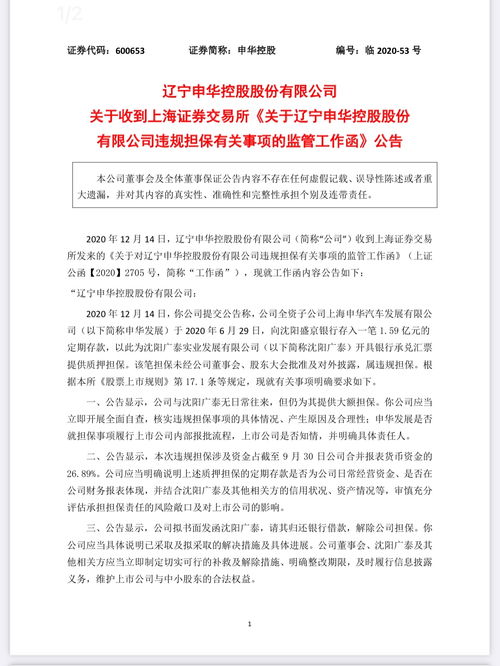 上交所发布关于合盛硅业的监管工作函