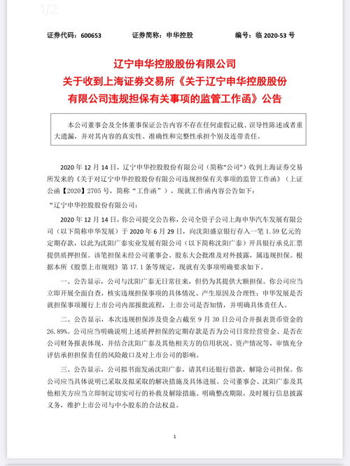 上交所发布关于合盛硅业的监管工作函