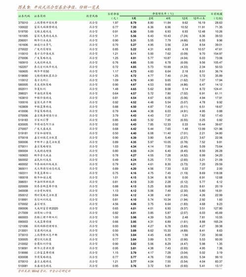 “翻倍新股”暴涨近10倍，申购分析揭秘，投资风险需谨慎