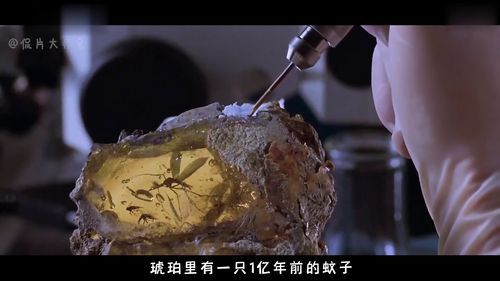 床虱危机为何席卷全球 吸食血液量是蚊子7倍，吸血时间“短则3分钟，长则10分钟”