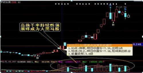 挖金客（301380）：该股换手率大于8%（11-14）