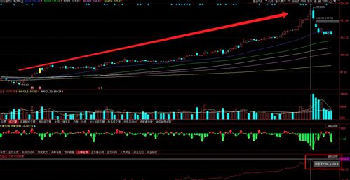 千禾味业（603027）：11月15日技术指标出现观望信号-“黑三兵”