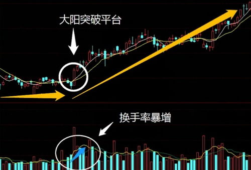 三维天地（301159）：该股换手率大于8%（11-15）