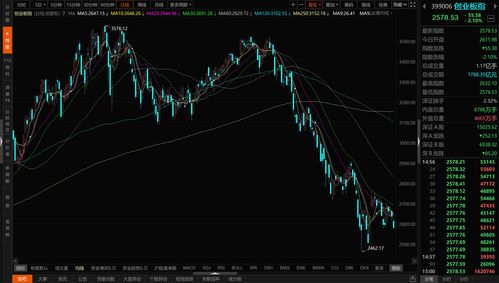 11月16日 10:10分  国统股份（002205）股价快速拉升