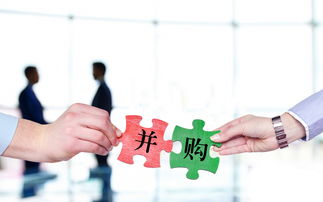 *ST步高：公司目前没有跨境电商业务