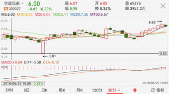 新股“翻倍股”频出！本周3只新股申购，1只股票已公布上市计划，投资者需密切关注！