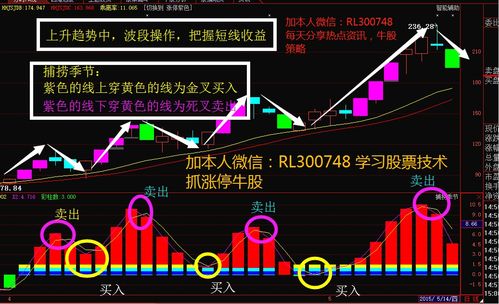 达华智能（002512）：该股换手率大于8%（11-17）