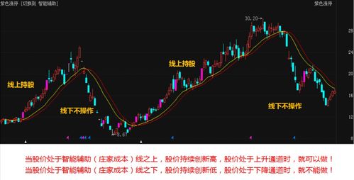 11月17日 13:24分  金春股份（300877）股价快速拉升