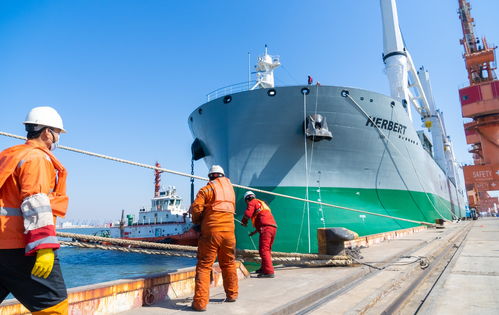 全球海运“拥堵”，运输成本或增加！