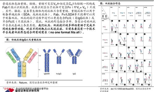 11月20日 10:35分  邦彦技术（688132）股价快速拉升