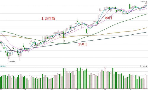 中元股份 （300018）：11月21日该股均线系统呈多头排列状
