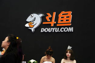 斗鱼(DOYU.US)盘前跌超7%！CEO陈少杰已被成都警方逮捕