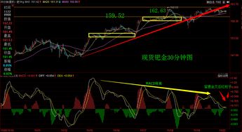 三川智慧（300066）：11月22日技术指标出现观望信号-“黑三兵”