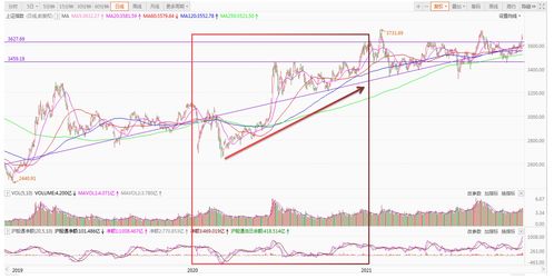 胜蓝股份（300843）：11月22日技术指标出现观望信号-“黑三兵”