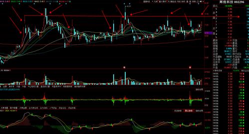 辉煌科技（002296）：11月22日技术指标出现观望信号-“黑三兵”