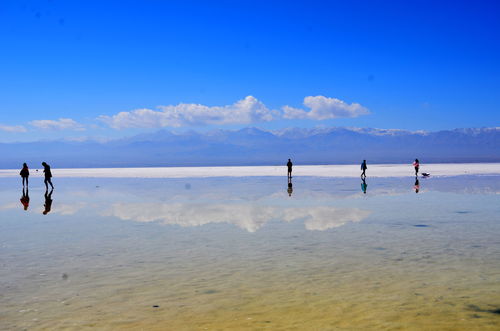 盐湖股份：进入冬季后青海人流量递减，但是察尔汗盐湖景区的风景不受季节影响