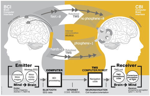人体实验在即 马斯克的脑机接口公司Neuralink再融资4300万美元！