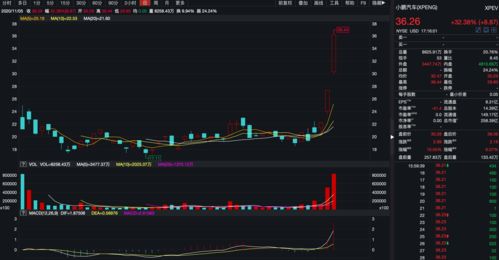 拼多多股价上涨14.04% 市值涨250.42亿美元