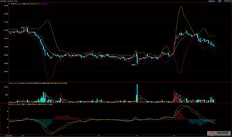 悦航阳光盘中异动 早盘大幅跳水11.83%