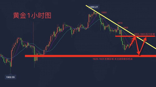 古特拉盘中异动 早盘急速下挫5.38%