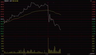 1药网盘中异动 股价大跌5.71%报1.65美元