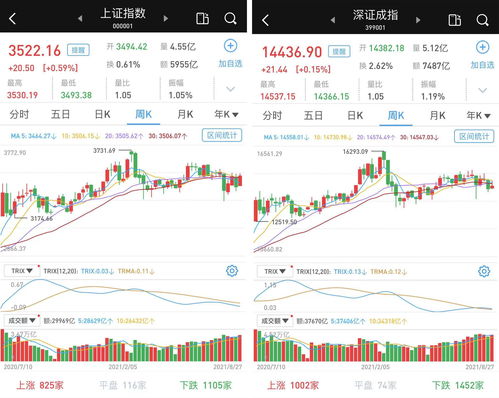 股海导航 12月7日沪深股市公告与交易提示