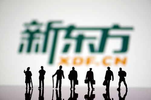 东方甄选(01797)上涨2.14%，报33.45元/股
