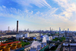上海石油化工股份(00338.HK)12月14日耗资254.3万港元回购228.4万股