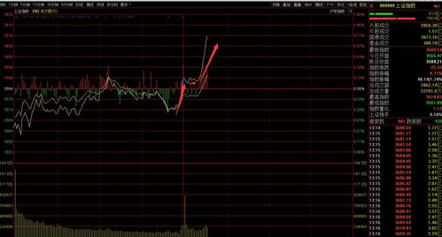 李尔盘中异动 临近收盘快速拉升5.01%